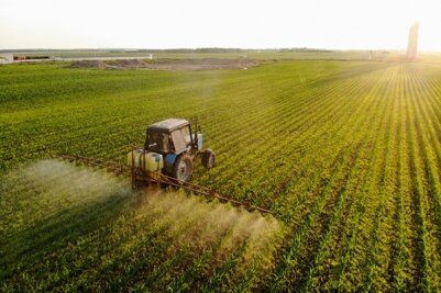 Impenhorabilidade da Pequena Propriedade Rural