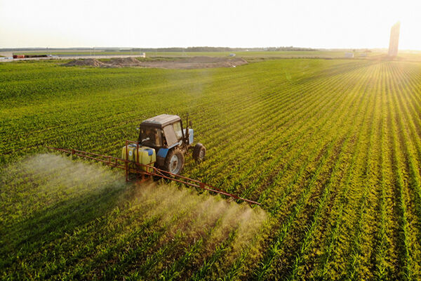 Impenhorabilidade da Pequena Propriedade Rural Impenhorabilidade da Pequena Propriedade Rural
